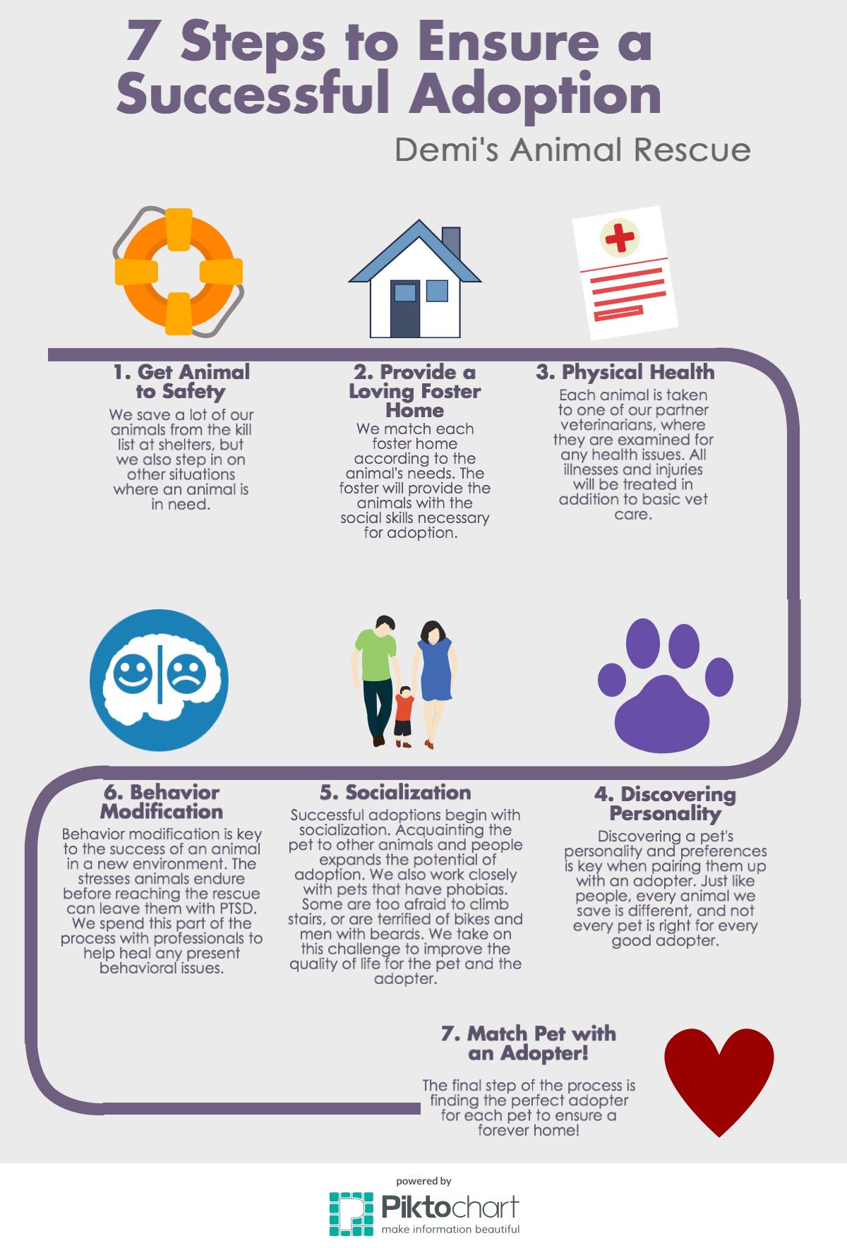 Steps to Adopt an Animal