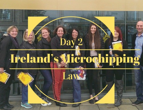 Day 2: Ireland’s Microchipping Law