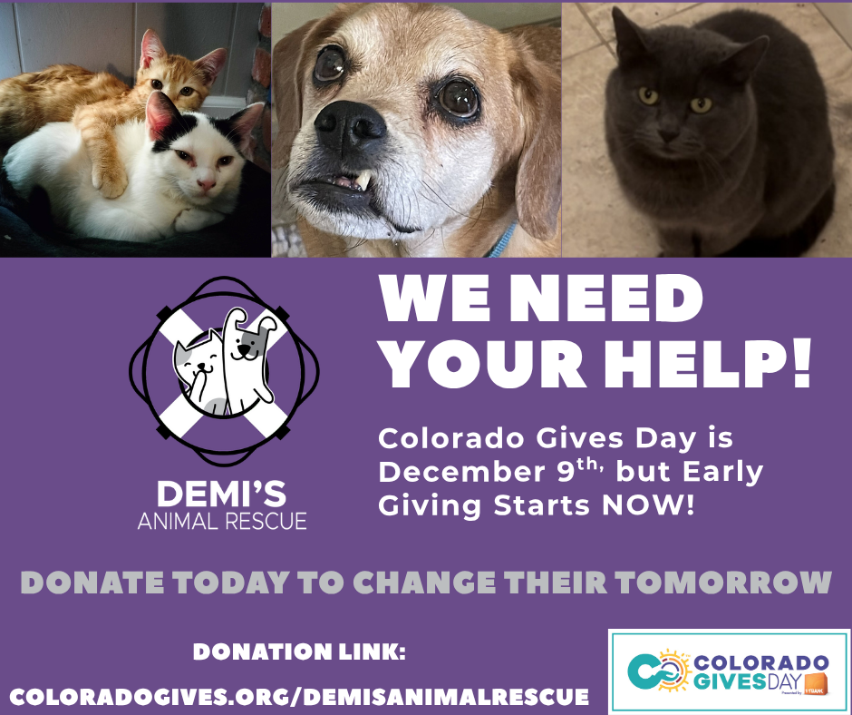 Donate here: https://www.coloradogives.org/organization/DemisAnimalRescue